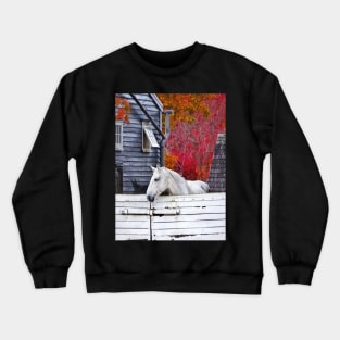 Horses - Autumn Farm With White Horse Crewneck Sweatshirt